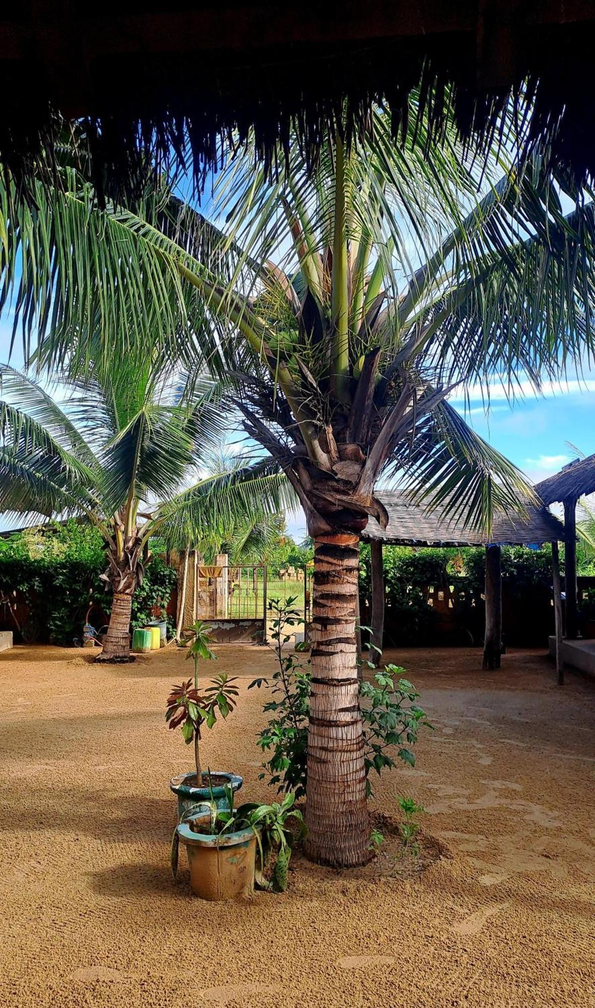 Hotel Nguel Du Saloum - Chez Abdou Et Mar Mar Lodj Zewnętrze zdjęcie