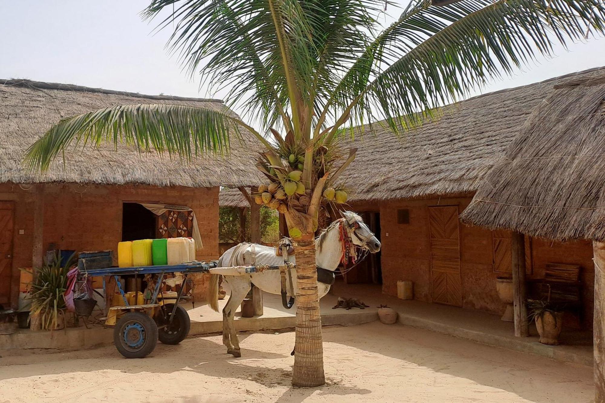 Hotel Nguel Du Saloum - Chez Abdou Et Mar Mar Lodj Zewnętrze zdjęcie